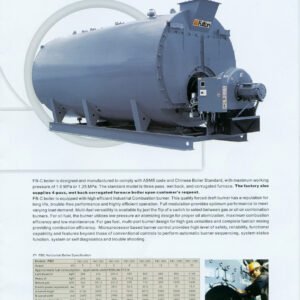 Fulton FBC Boiler 12 Ton/Hr Gas+Diesel